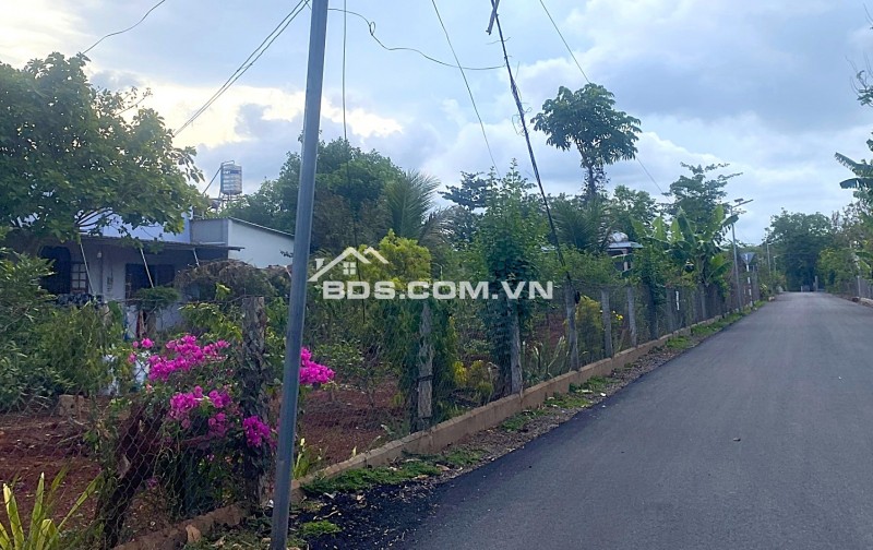 Đất Xuyên Mộc, MT 10m đường nhựa đẹp, thổ 80, dt 500. Chỉ hơn 1 tỷ.